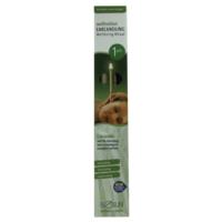 Biosun Ear Candles Wellmotion Ritual Eucalyptus & Lemongrass 